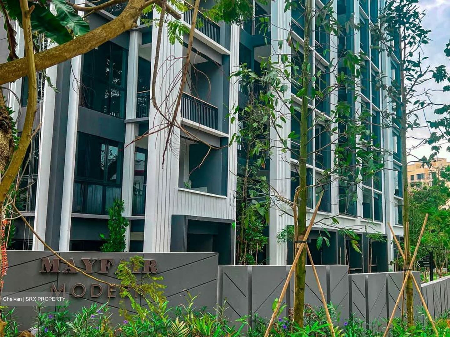 Mayfair Modern (D21), Condominium #554706501